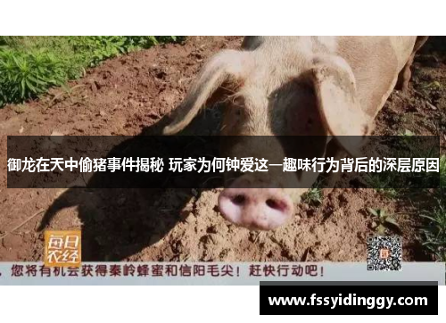 御龙在天中偷猪事件揭秘 玩家为何钟爱这一趣味行为背后的深层原因